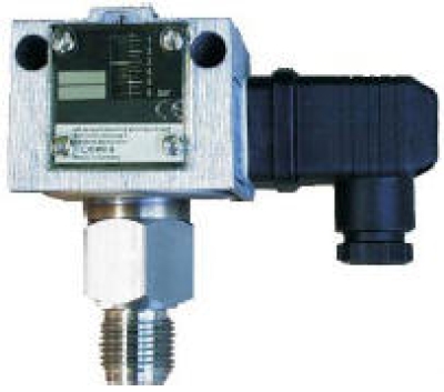 DNS06-203